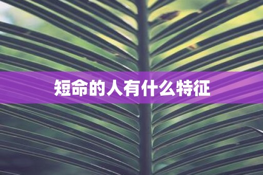 短命的人有什么特征