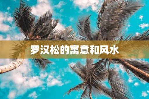 罗汉松的寓意和风水