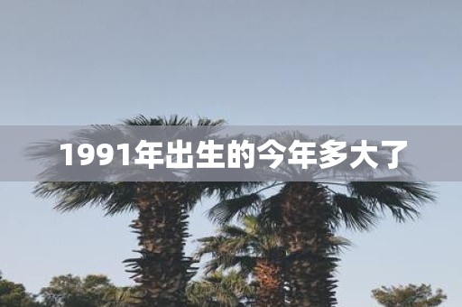 1991年出生的今年多大了