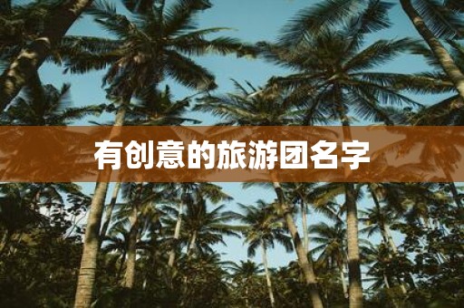 有创意的旅游团名字