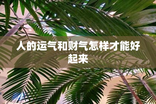 人的运气和财气怎样才能好起来