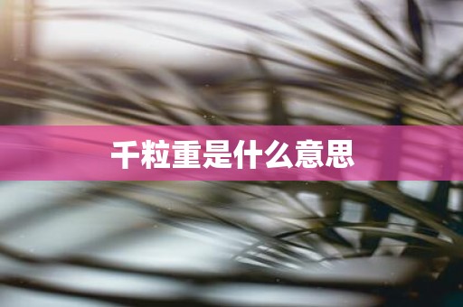 千粒重是什么意思