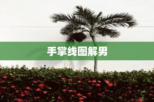 手掌线图解男