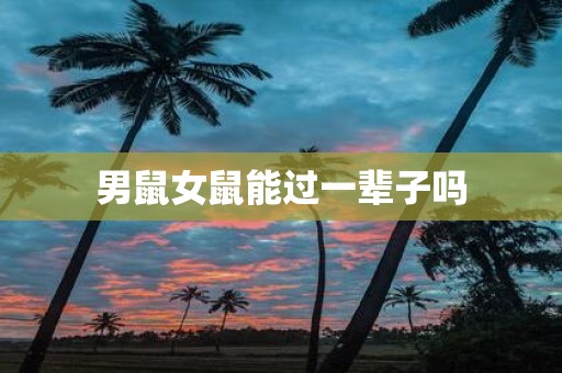 男鼠女鼠能过一辈子吗