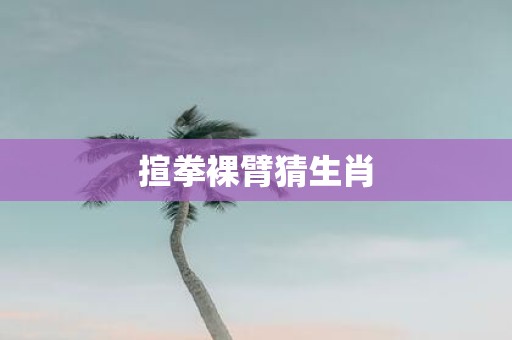 揎拳裸臂猜生肖