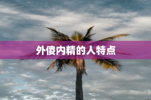 外傻内精的人特点