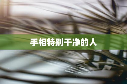 手相特别干净的人