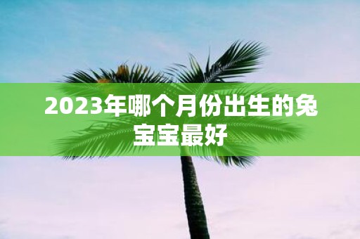 2023年哪个月份出生的兔宝宝最好