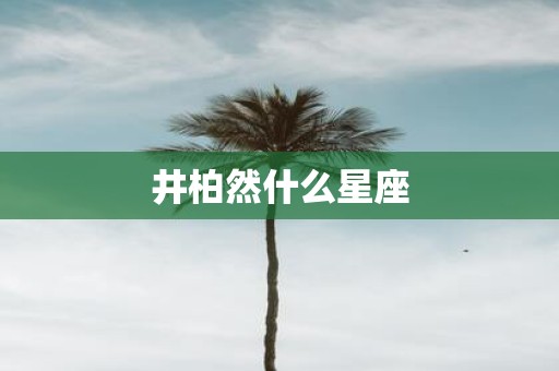 井柏然什么星座