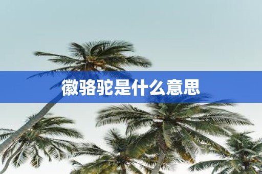 徽骆驼是什么意思