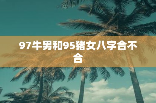 97牛男和95猪女八字合不合