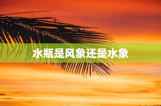 水瓶是风象还是水象