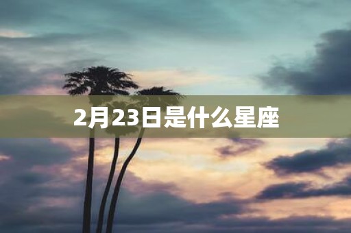 2月23日是什么星座