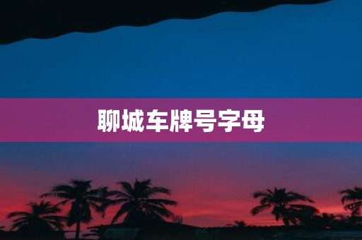 聊城车牌号字母