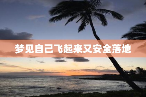 梦见自己飞起来又安全落地