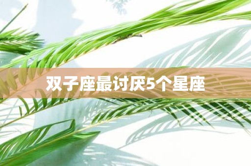 双子座最讨厌5个星座