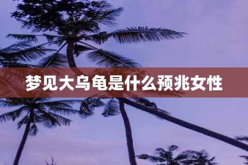 梦见大乌龟是什么预兆女性