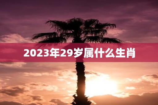 2023年29岁属什么生肖