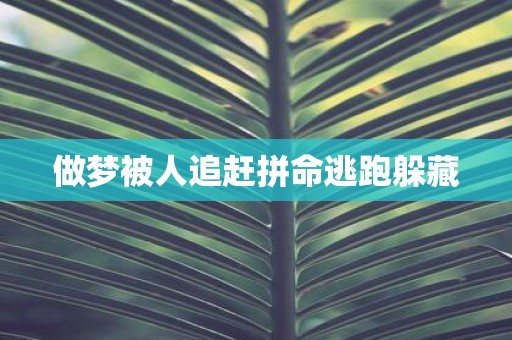做梦被人追赶拼命逃跑躲藏