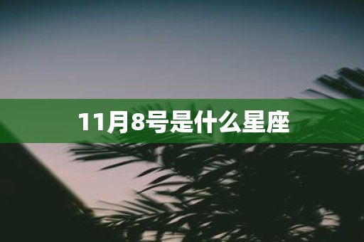 11月8号是什么星座