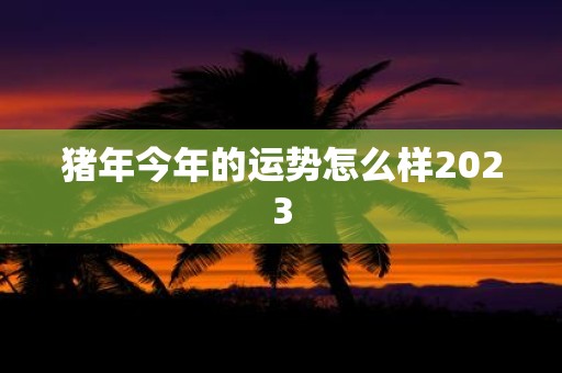 猪年今年的运势怎么样2025