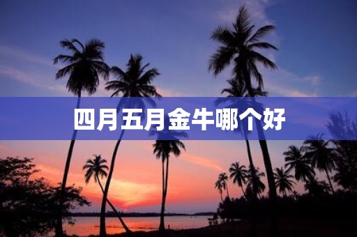 四月五月金牛哪个好