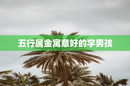 五行属金寓意好的字男孩
