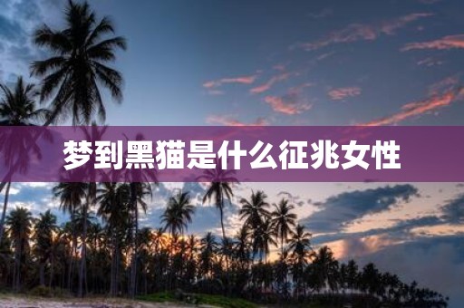 梦到黑猫是什么征兆女性