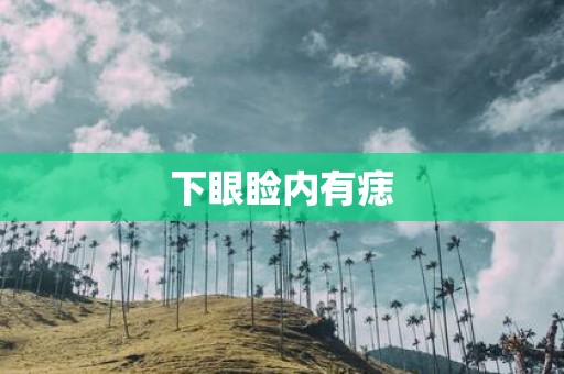 下眼睑内有痣