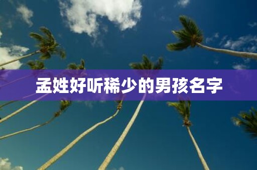 孟姓好听稀少的男孩名字