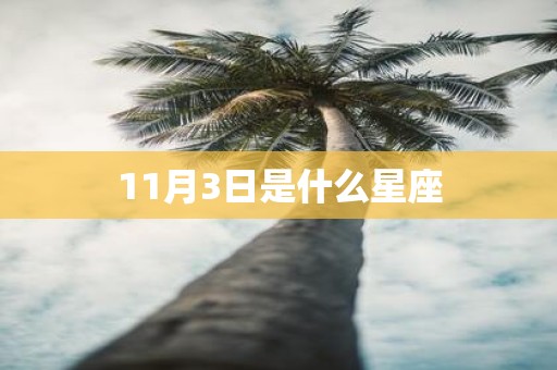 11月3日是什么星座