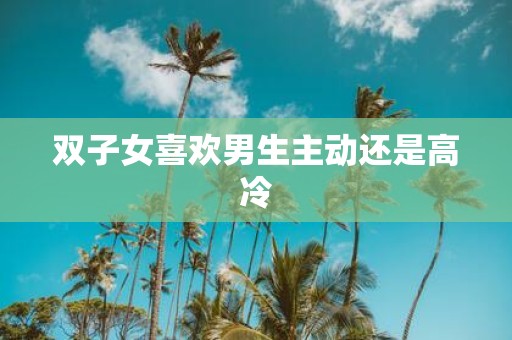 双子女喜欢男生主动还是高冷