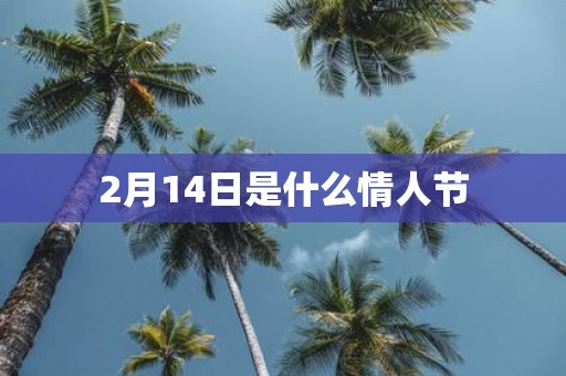2月14日是什么情人节