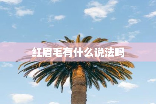 红眉毛有什么说法吗