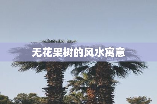 无花果树的风水寓意