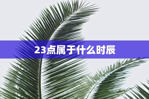 23点属于什么时辰
