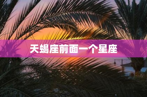 天蝎座前面一个星座