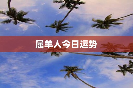 属羊人今日运势