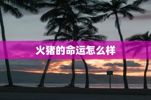 火猪的命运怎么样