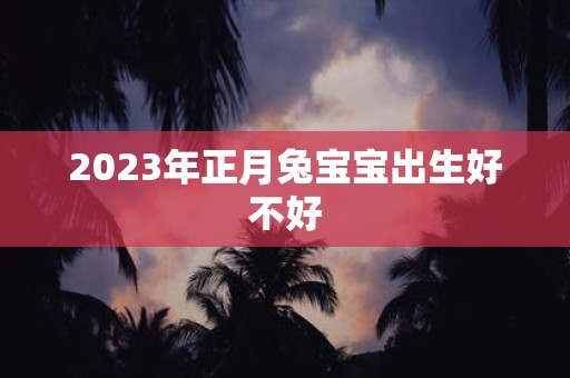 2023年正月兔宝宝出生好不好