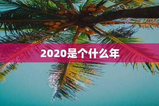 2020是个什么年