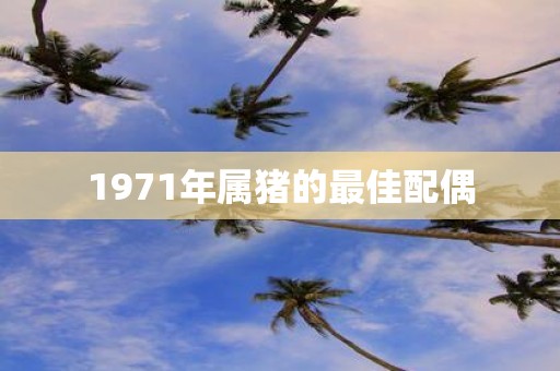 1971年属猪的最佳配偶