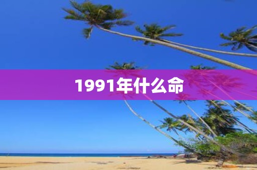 1991年什么命