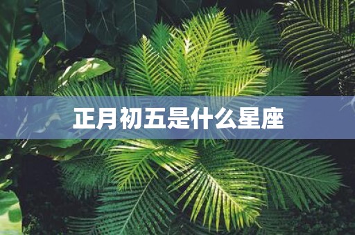 正月初五是什么星座