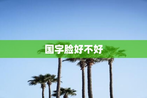 国字脸好不好