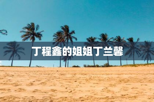 丁程鑫的姐姐丁兰馨
