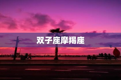双子座摩羯座