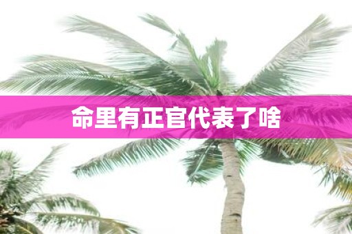 命里有正官代表了啥