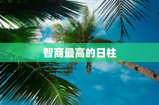 智商最高的日柱