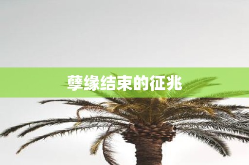 孽缘结束的征兆